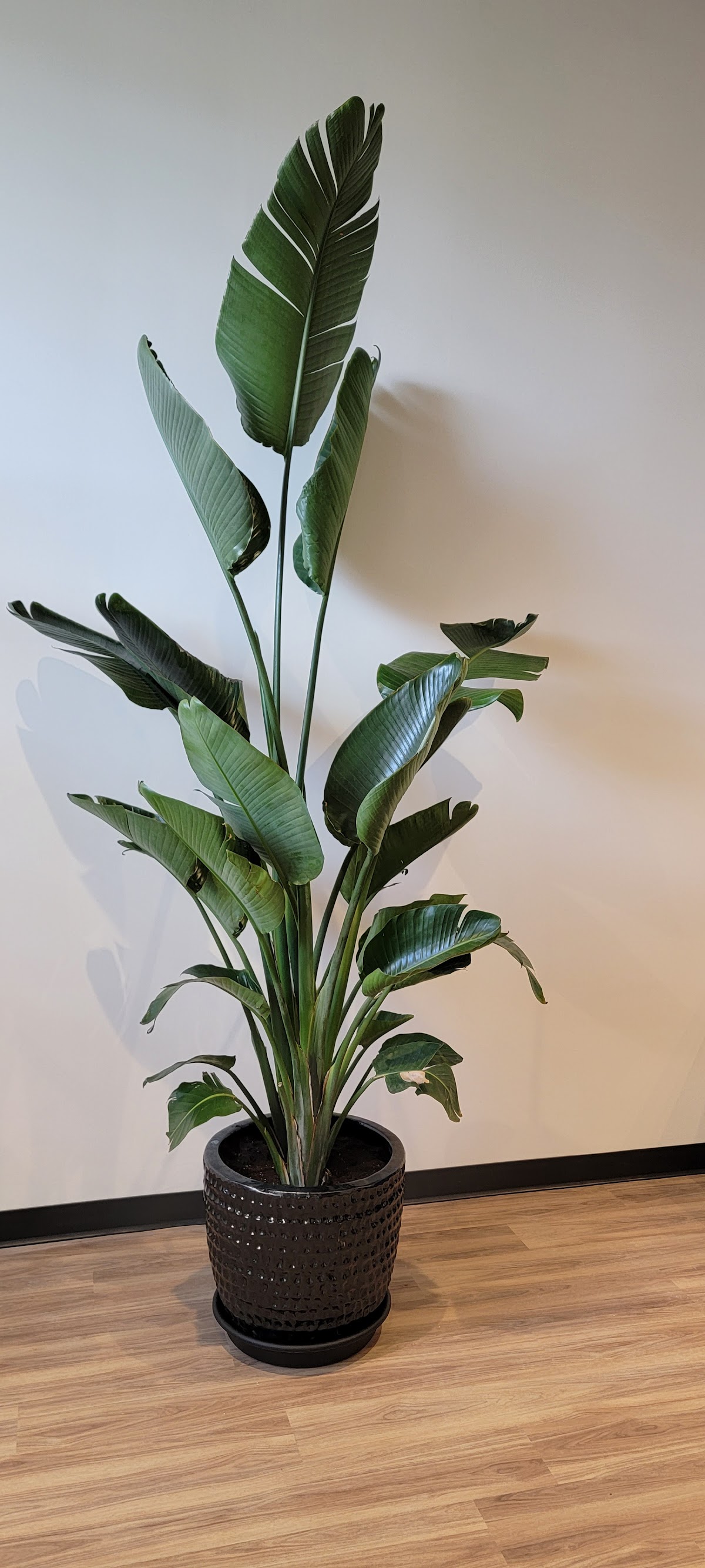 Otium Wellness & Massage Therapy photo 2