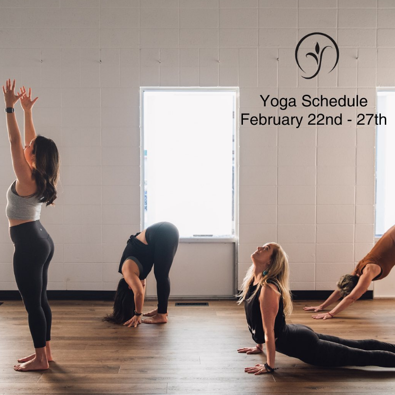 Bliss MediSpa & Integrated Wellness photo 3