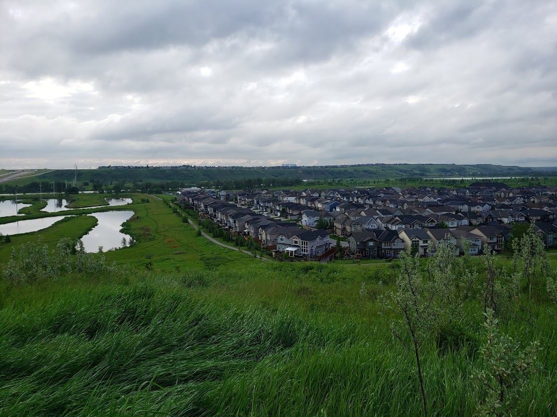 Andrew Sague Massage