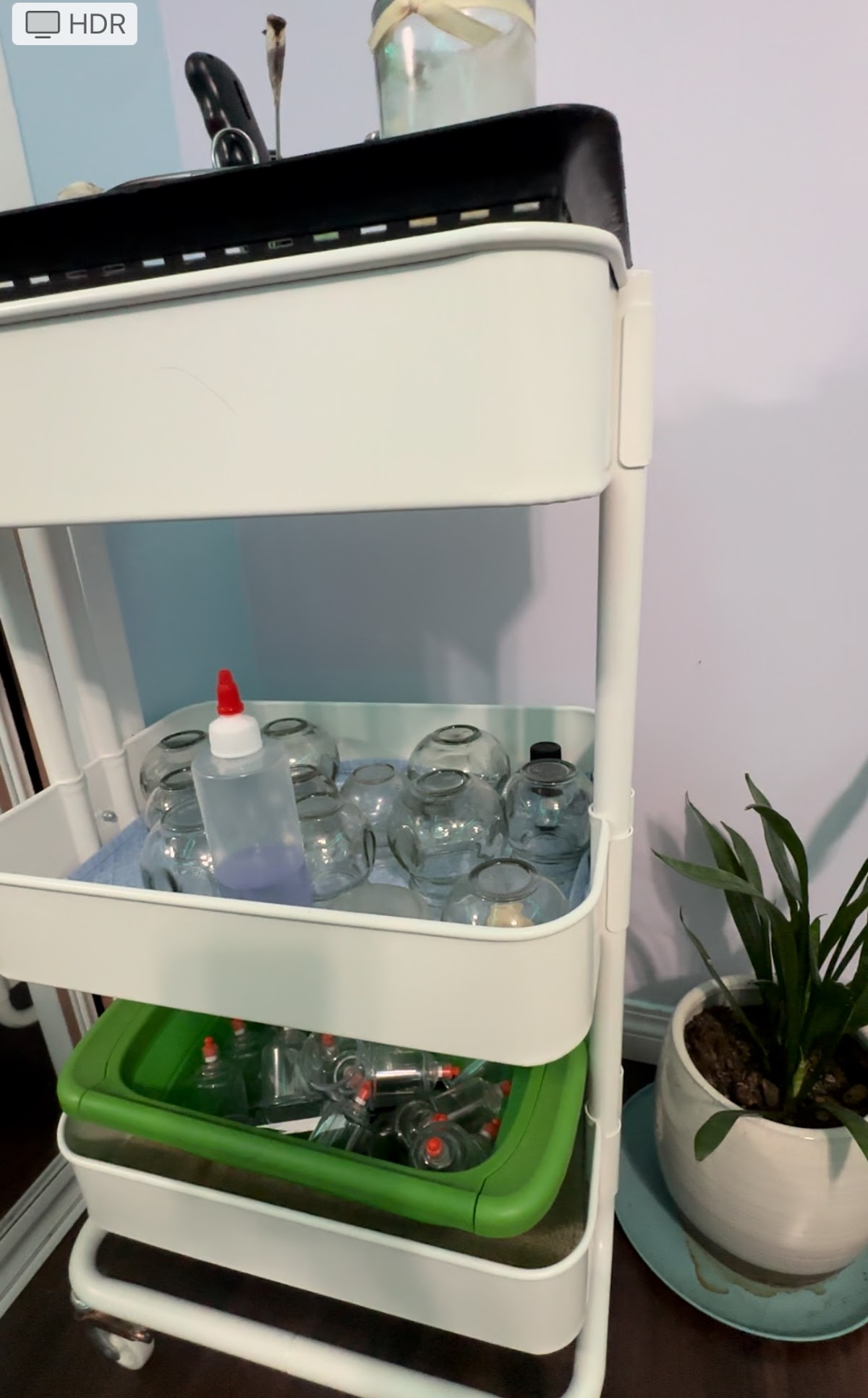 Precious Couple Massage, Acupuncture & Manual Osteopath photo 3