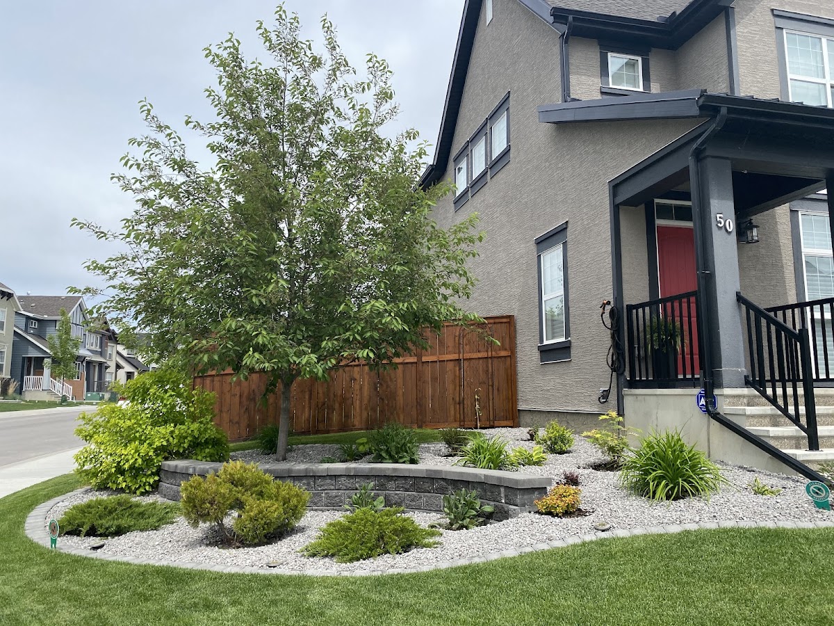 Mahogany Healing Massage & Wellness photo 3