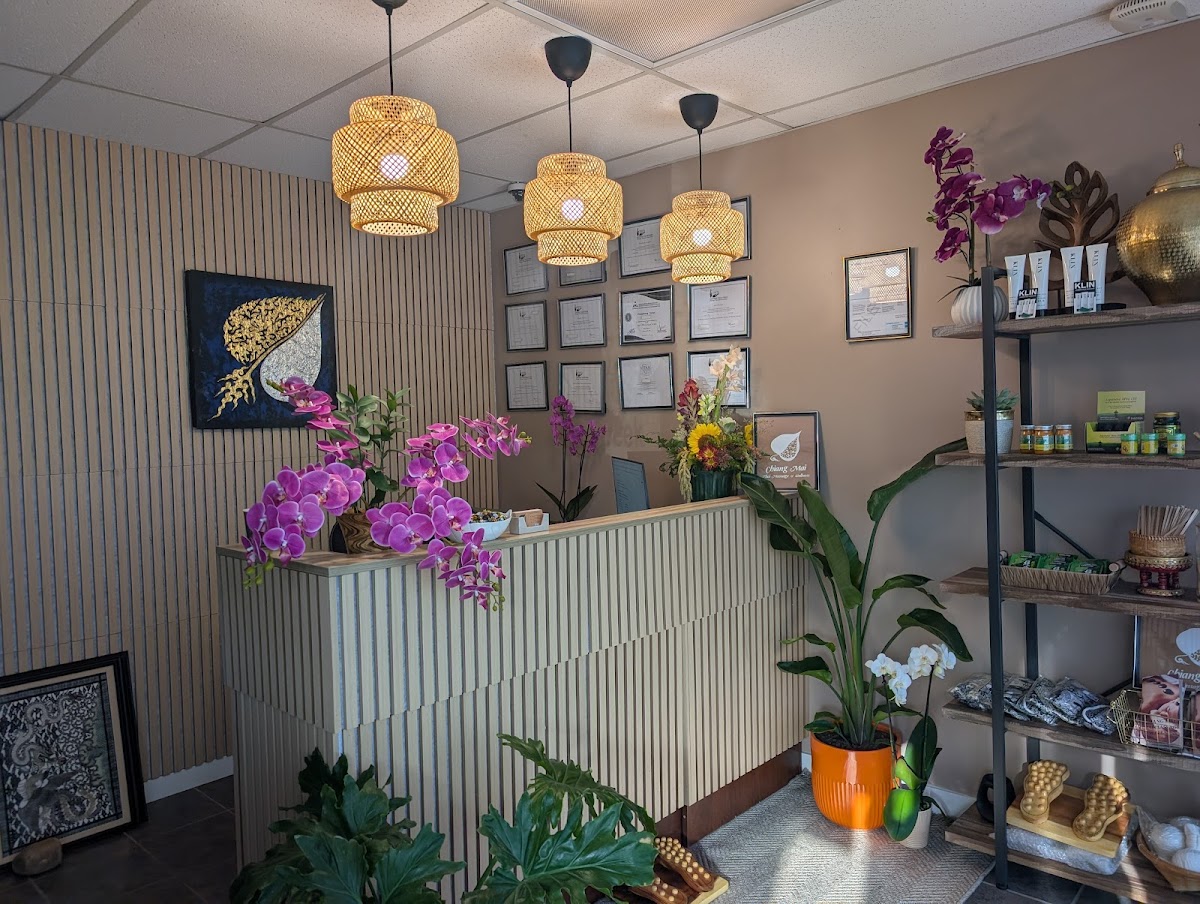 Chiang Mai Thai Massage & Wellness photo 2