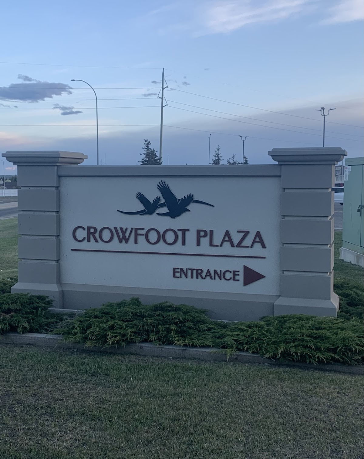 Still Roots Massage photo 3