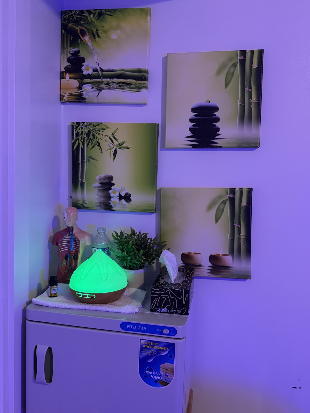 Ruel’s Touch of WellBeing photo 3