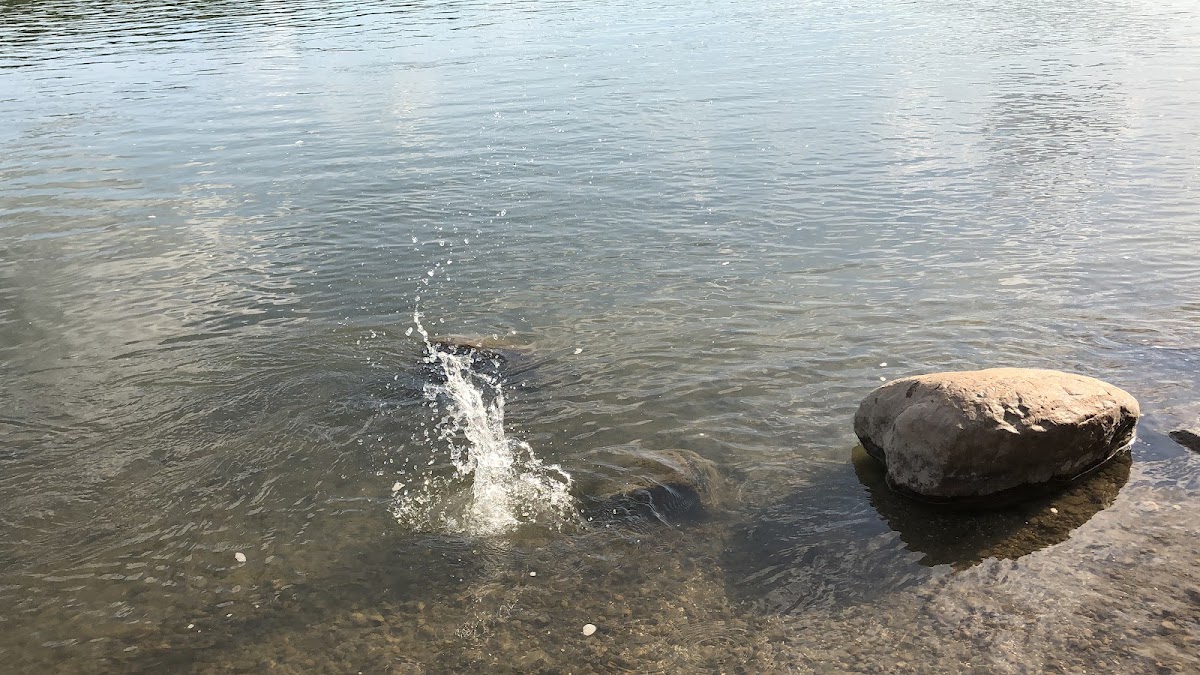 Calmwaves Therapeutic Massage and Wellness photo 2