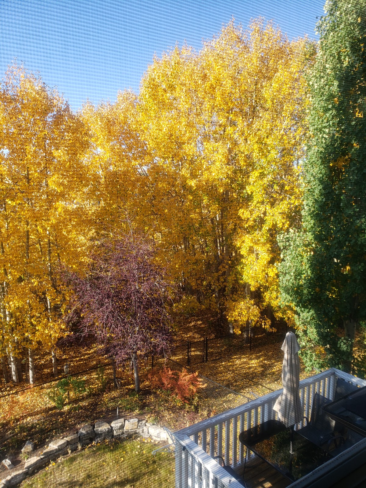 Kim's Massage therapy photo 3