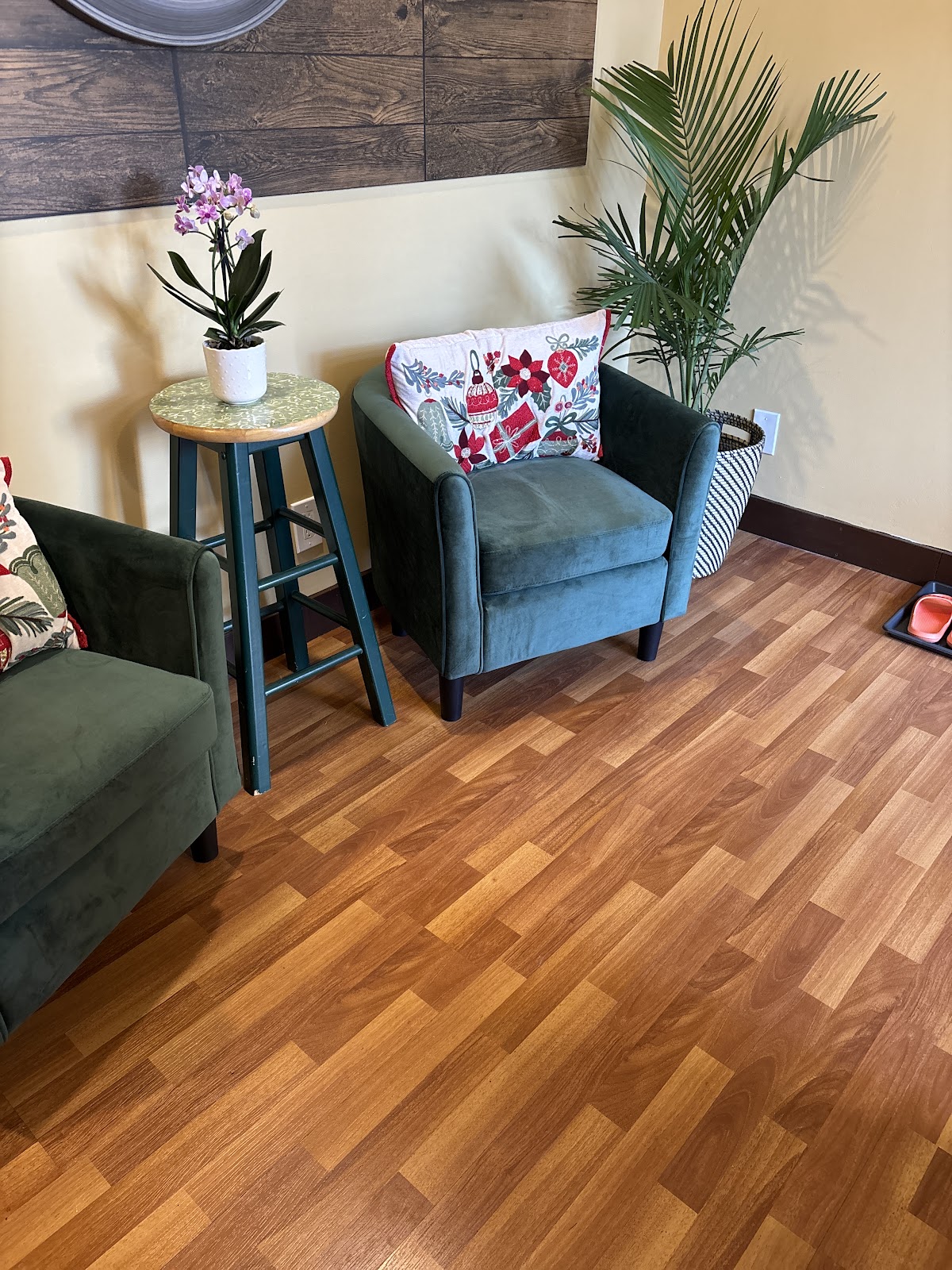 Serene Roots Wellness photo 3