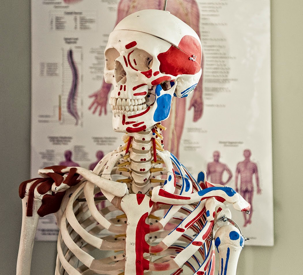 Interactive Health Physiotherapy photo 2