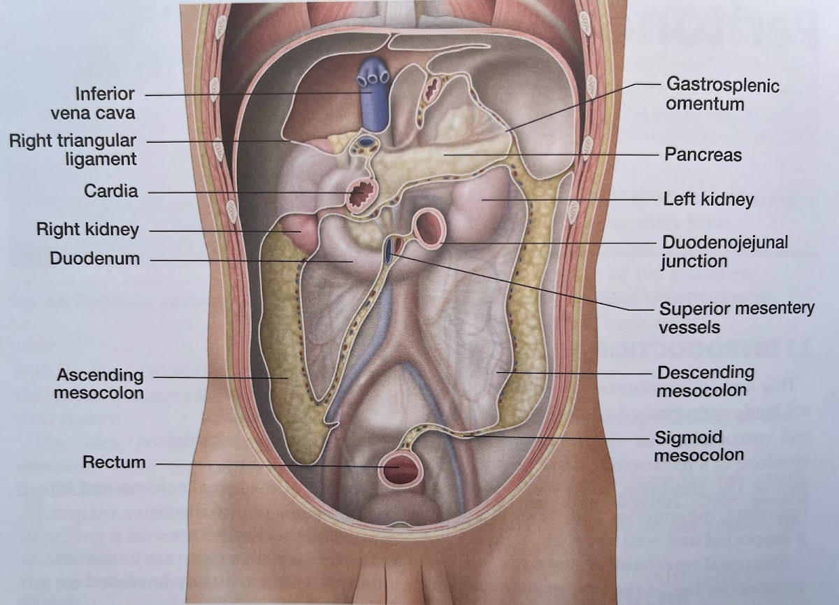 Pure Wellness --Osteopathy and Massage Therapy photo 2