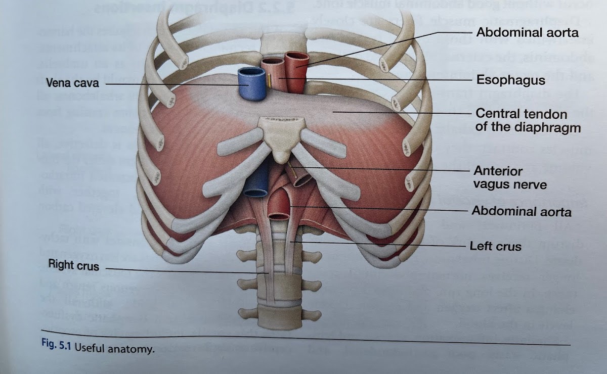 Pure Wellness --Osteopathy and Massage Therapy photo 3