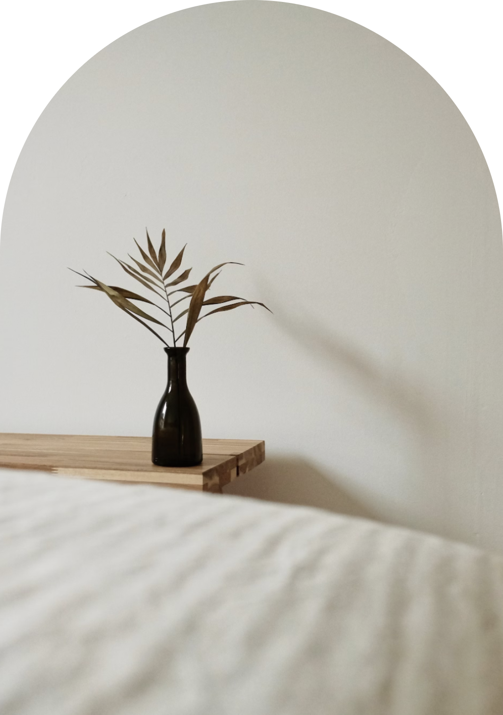 Satva Bliss photo 1