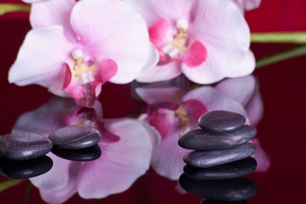 AL Chinese Medical Massage